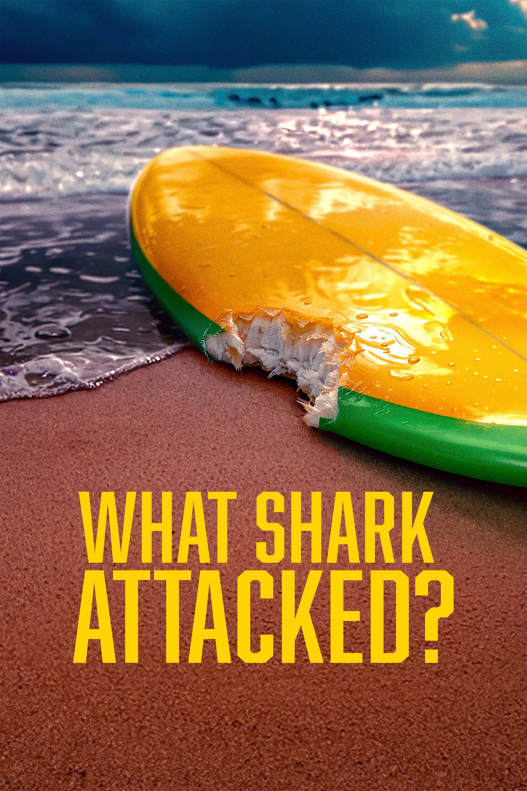 What Shark Attacked