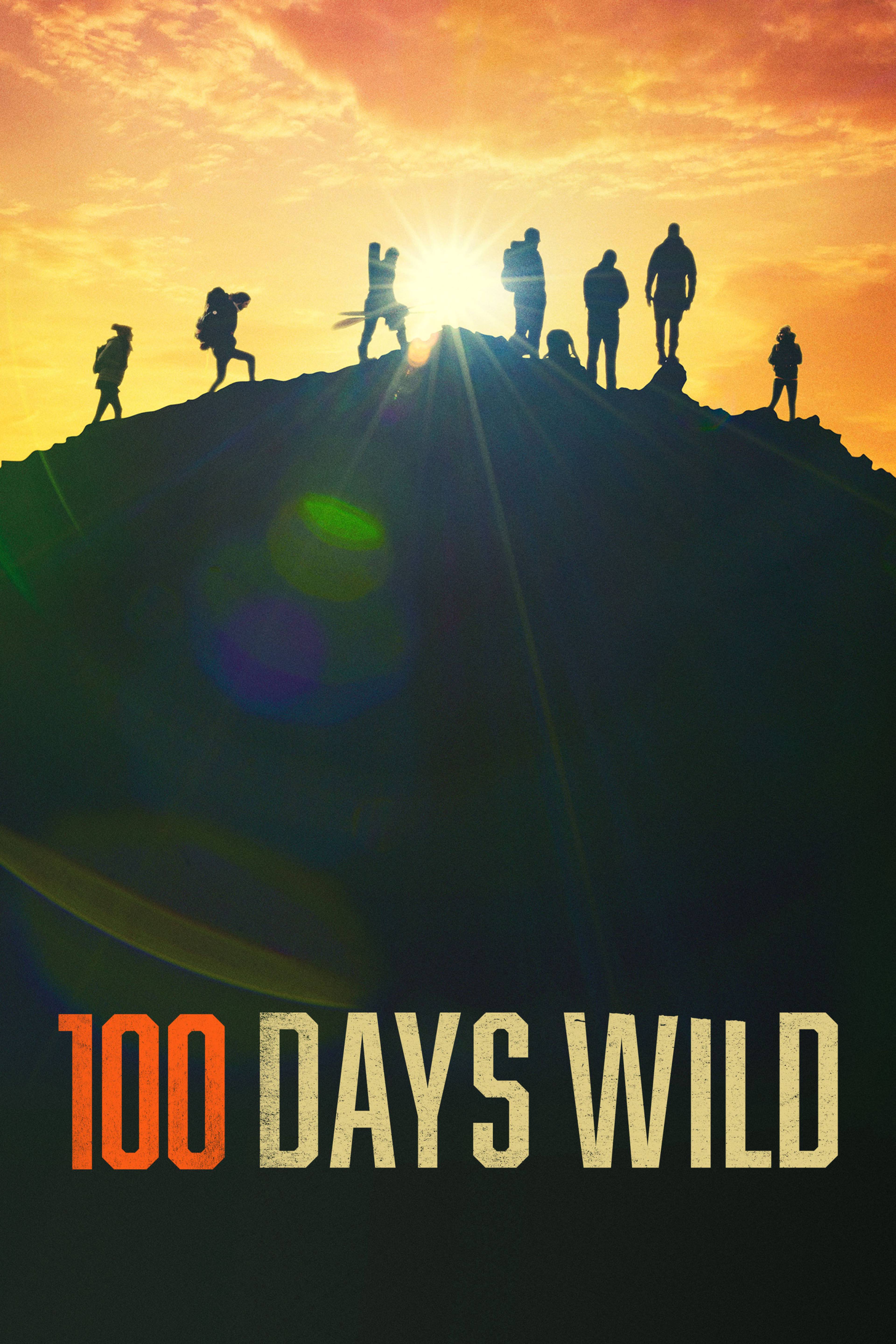 100 Days Wild