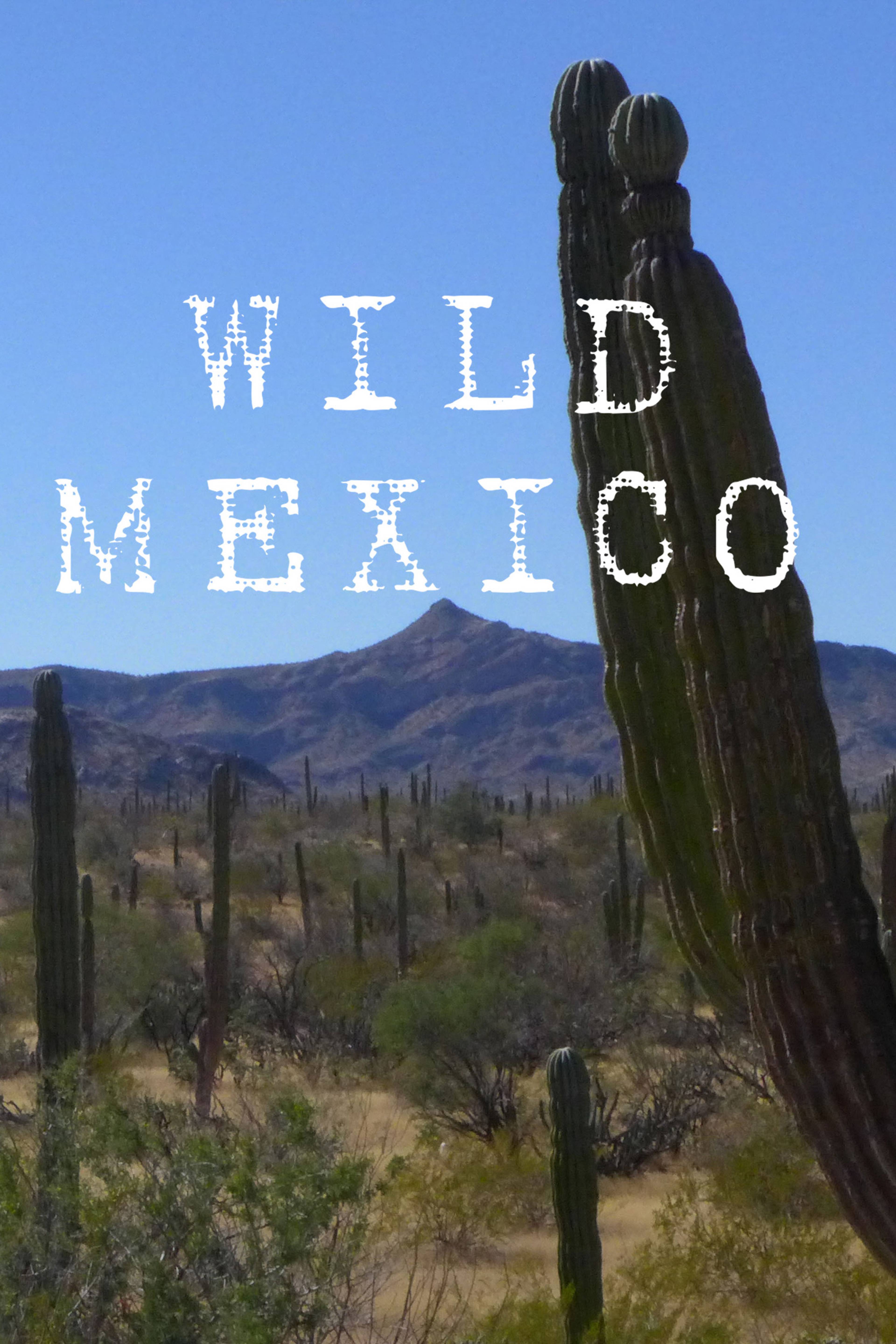 Wild Mexico