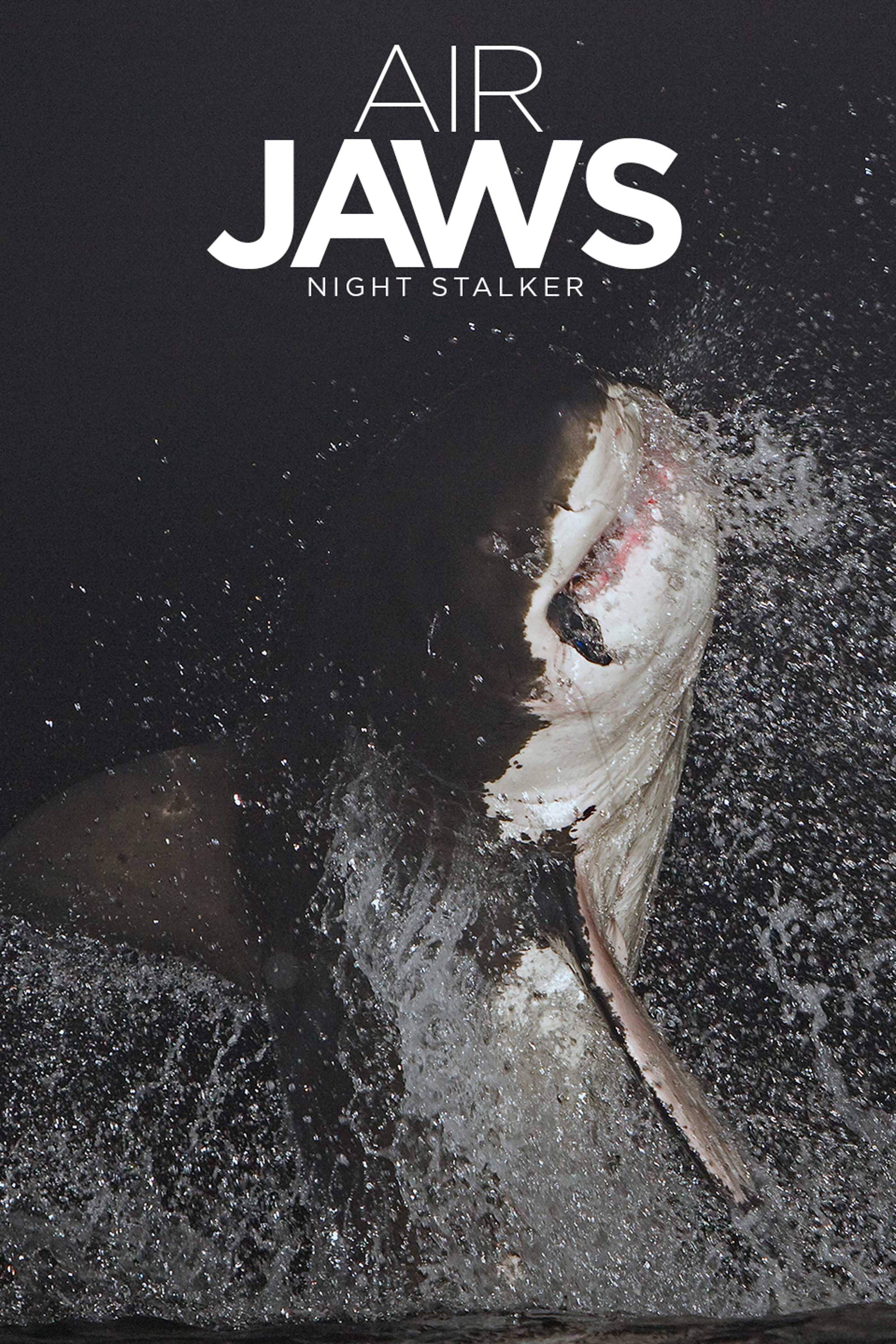 Air Jaws: Night Stalker