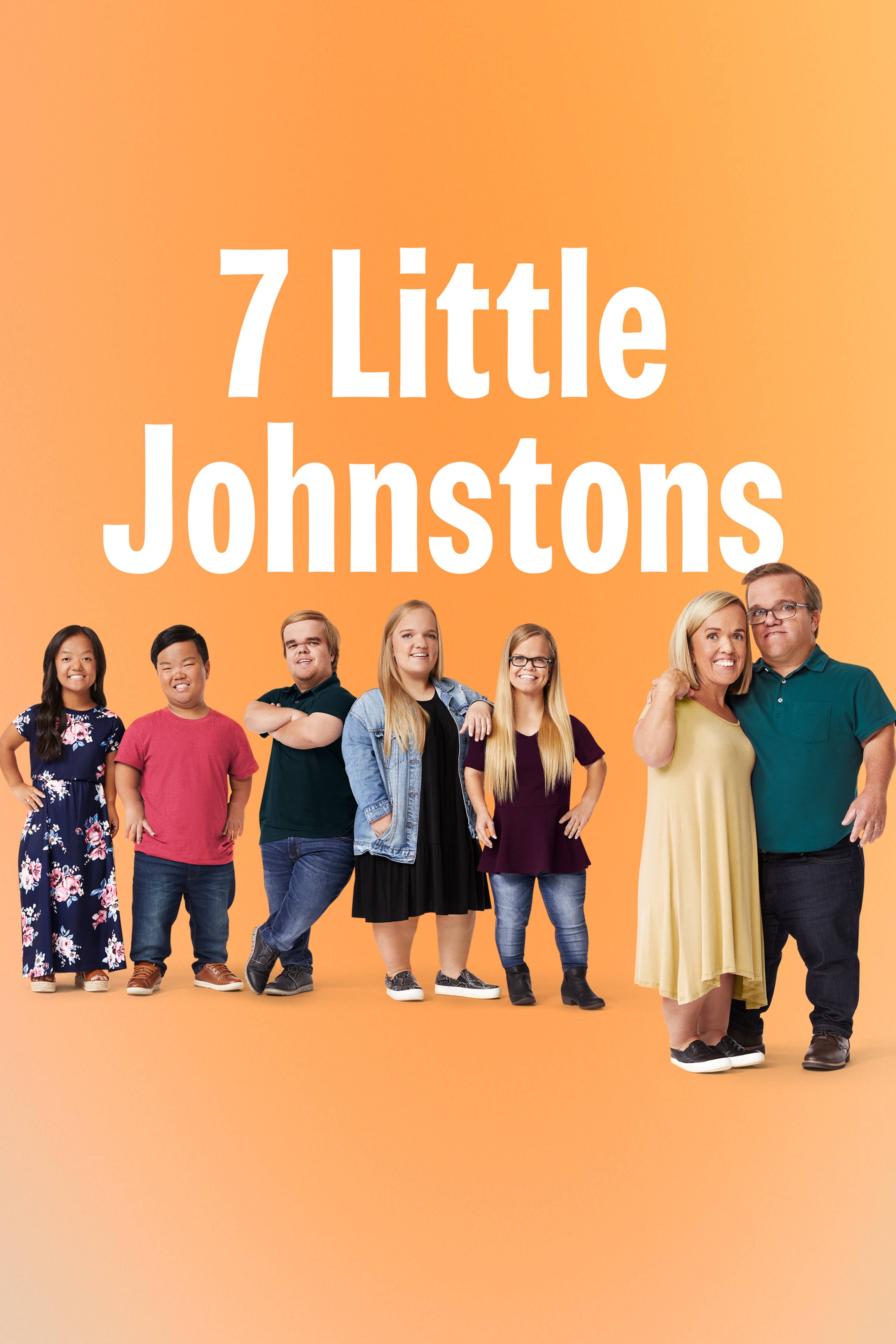 7 Little Johnstons