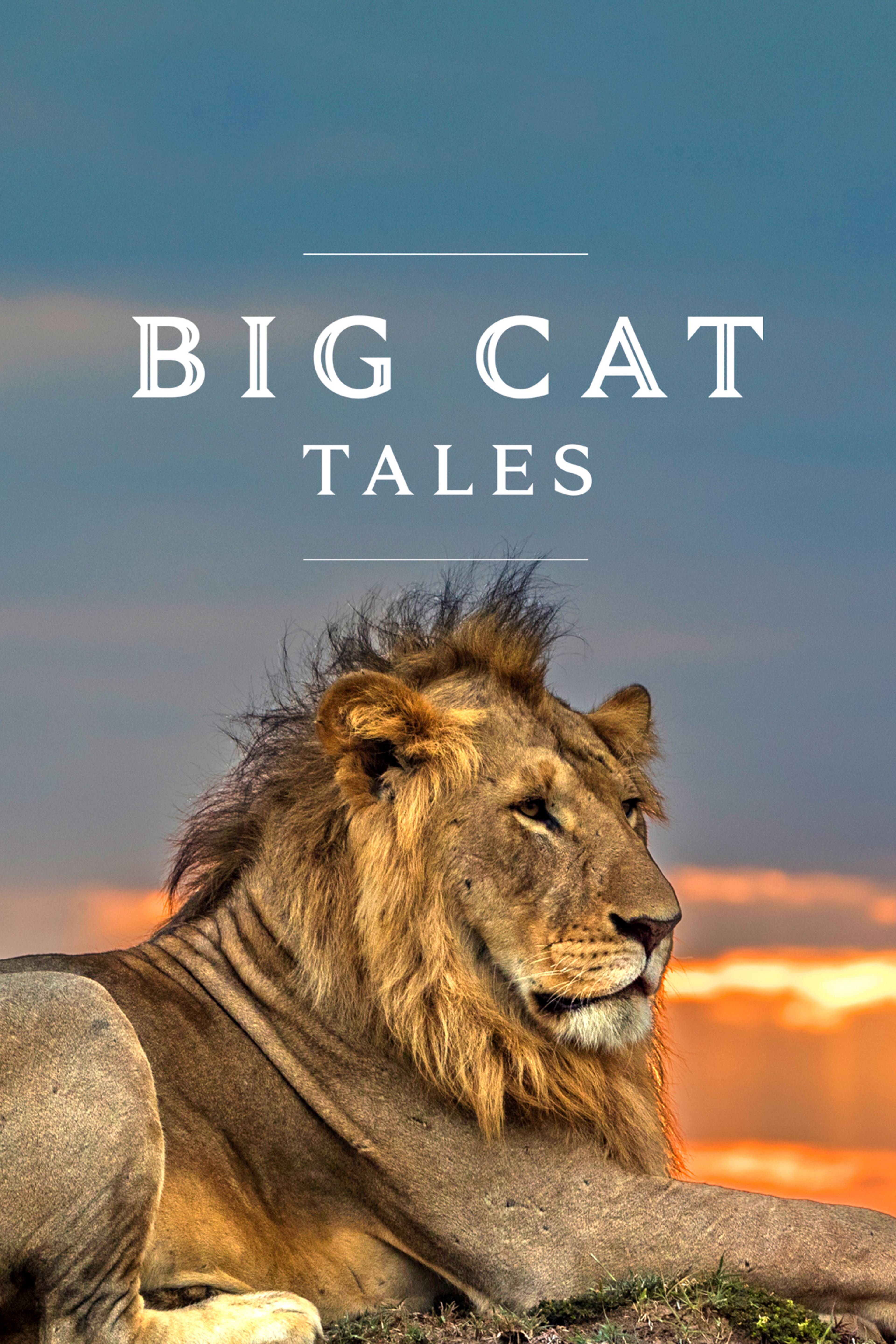 Big Cat Tales