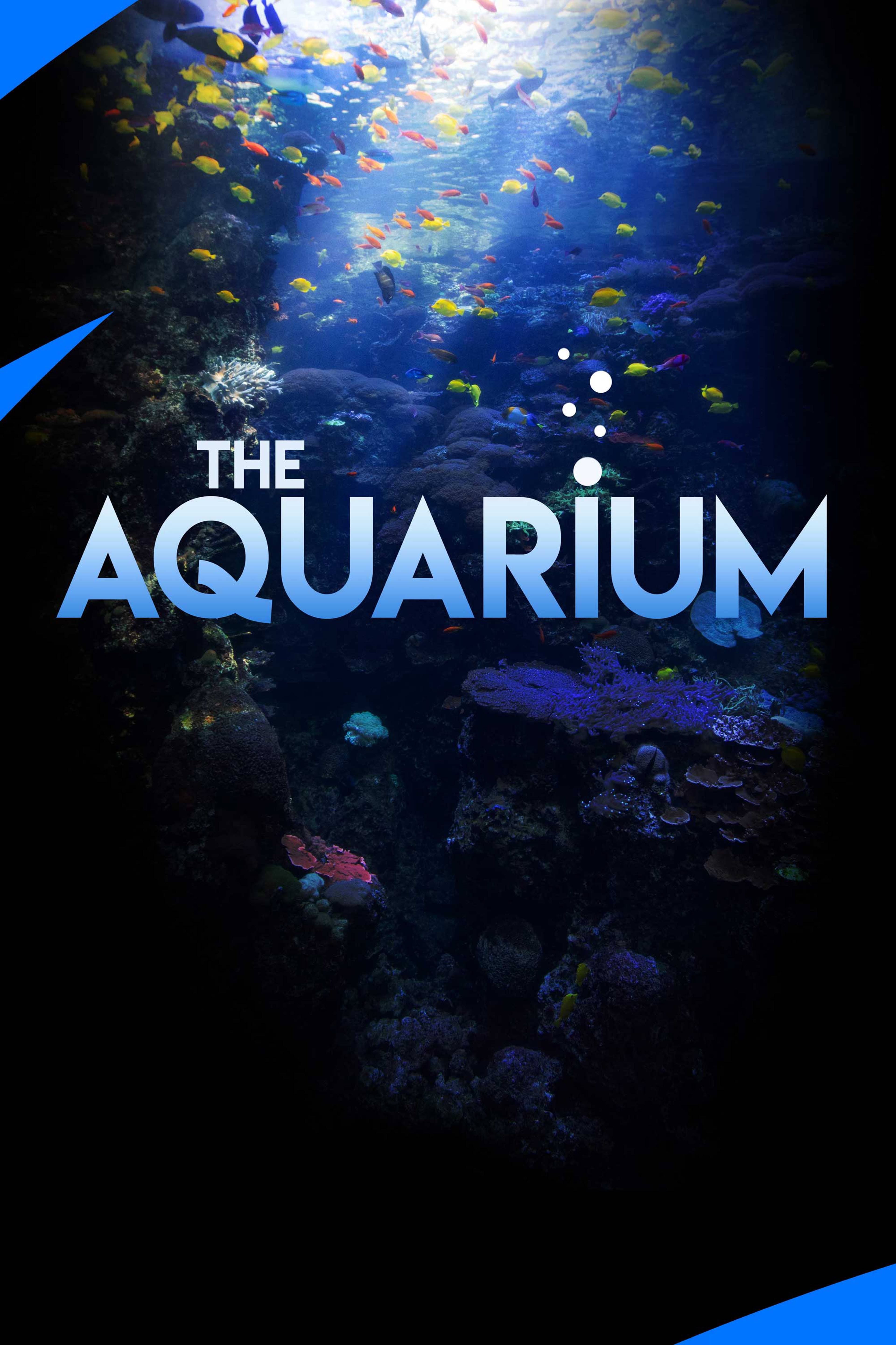 The Aquarium