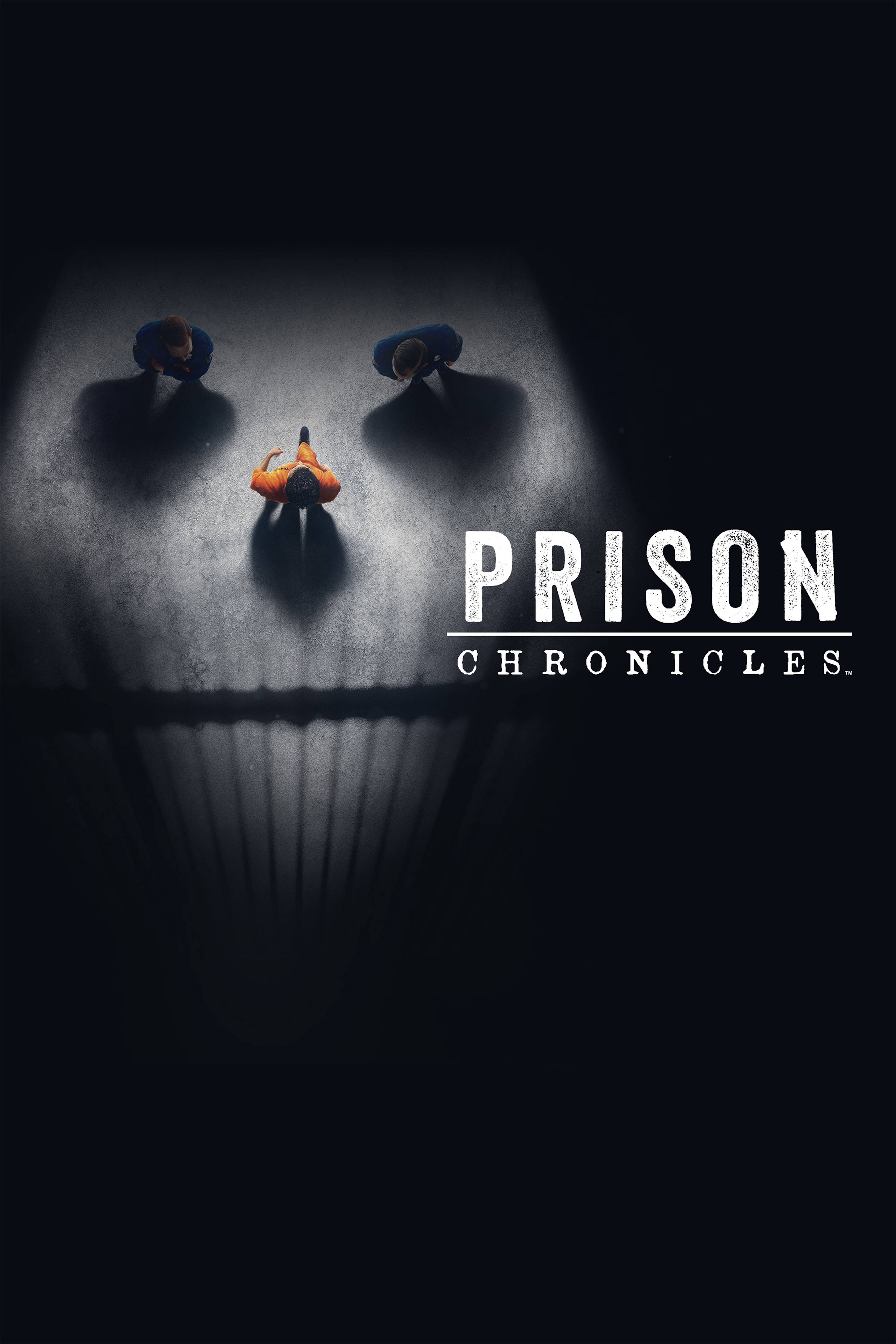 Prison Chronicles