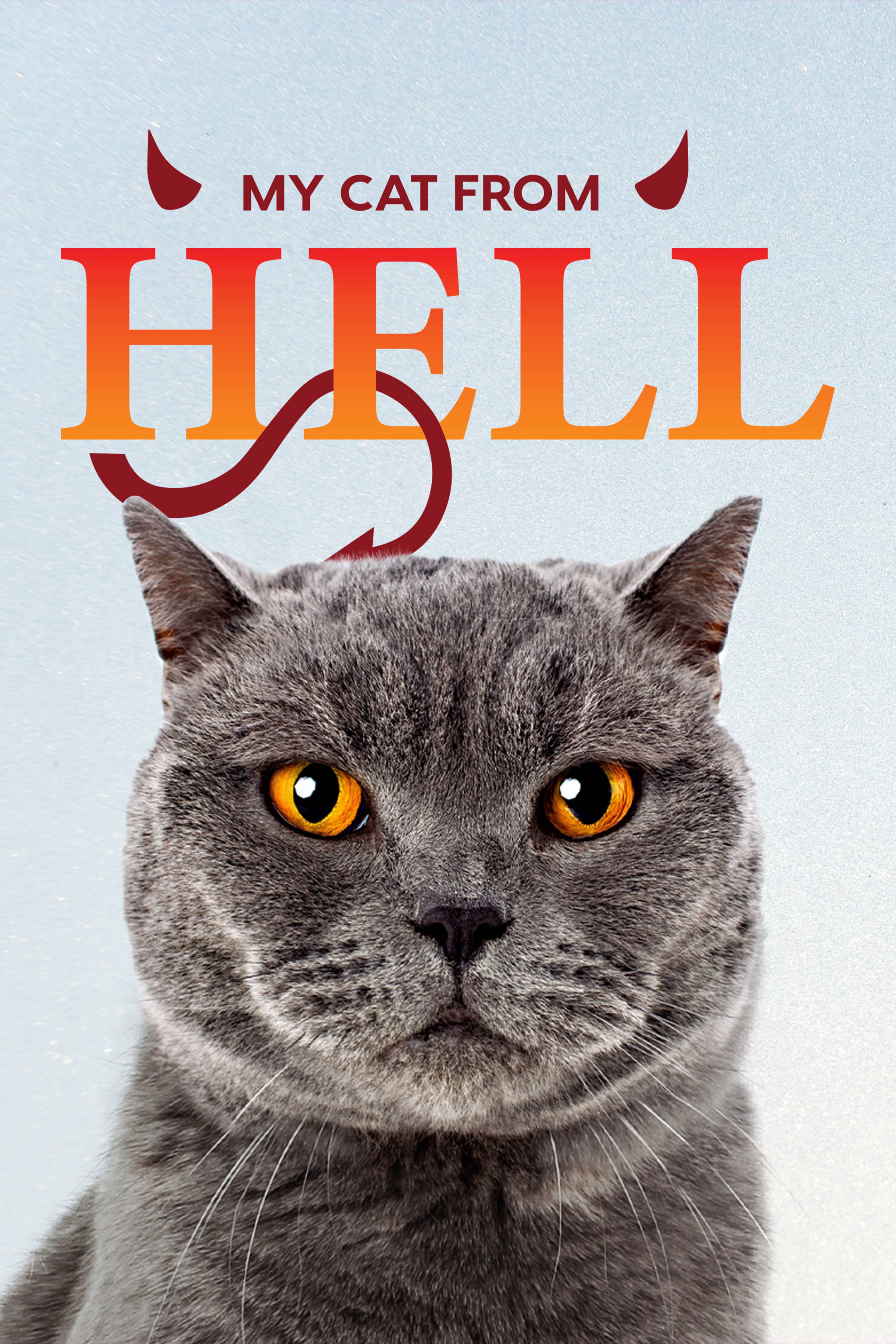 My Cat From Hell