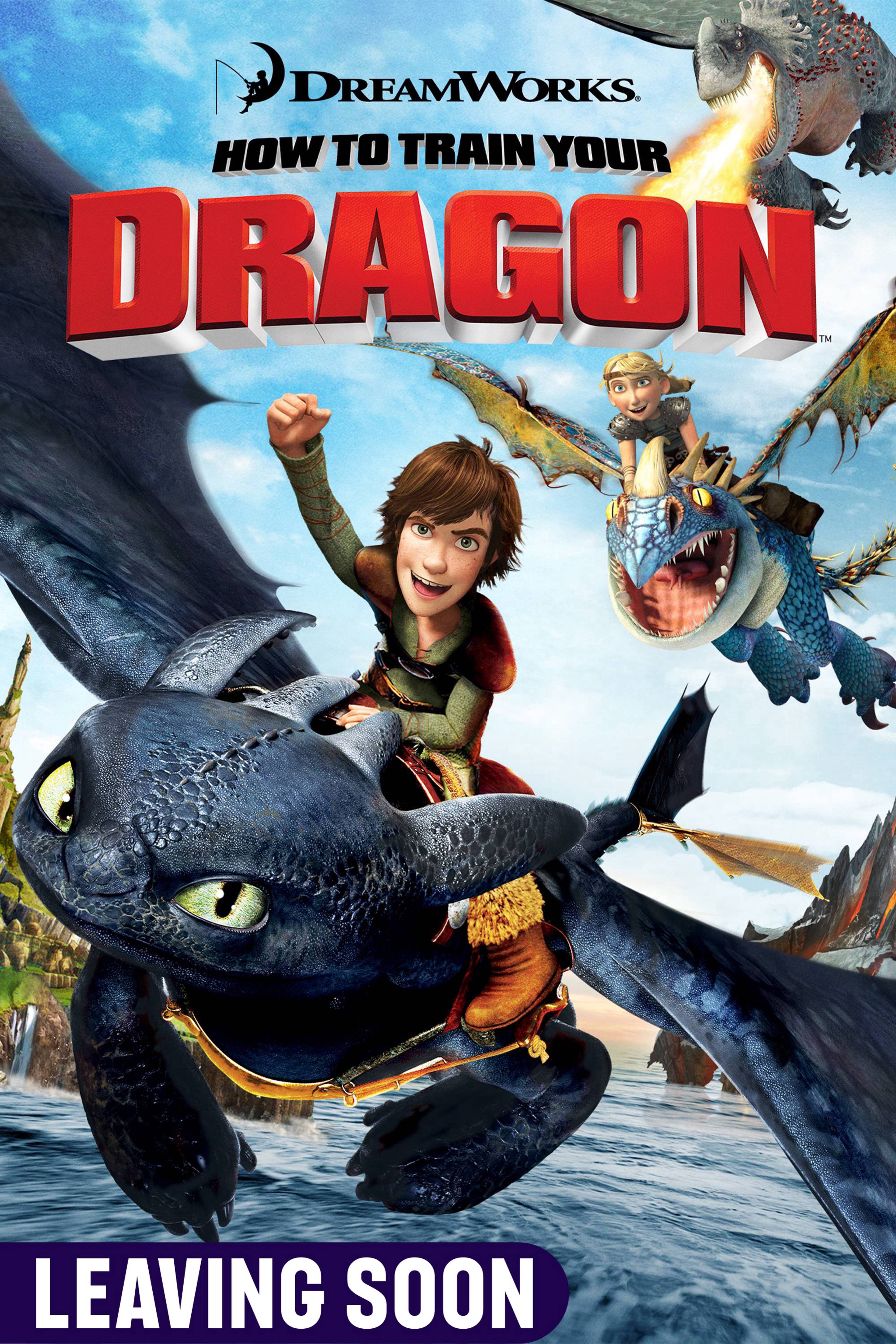 How to Train Your Dragon