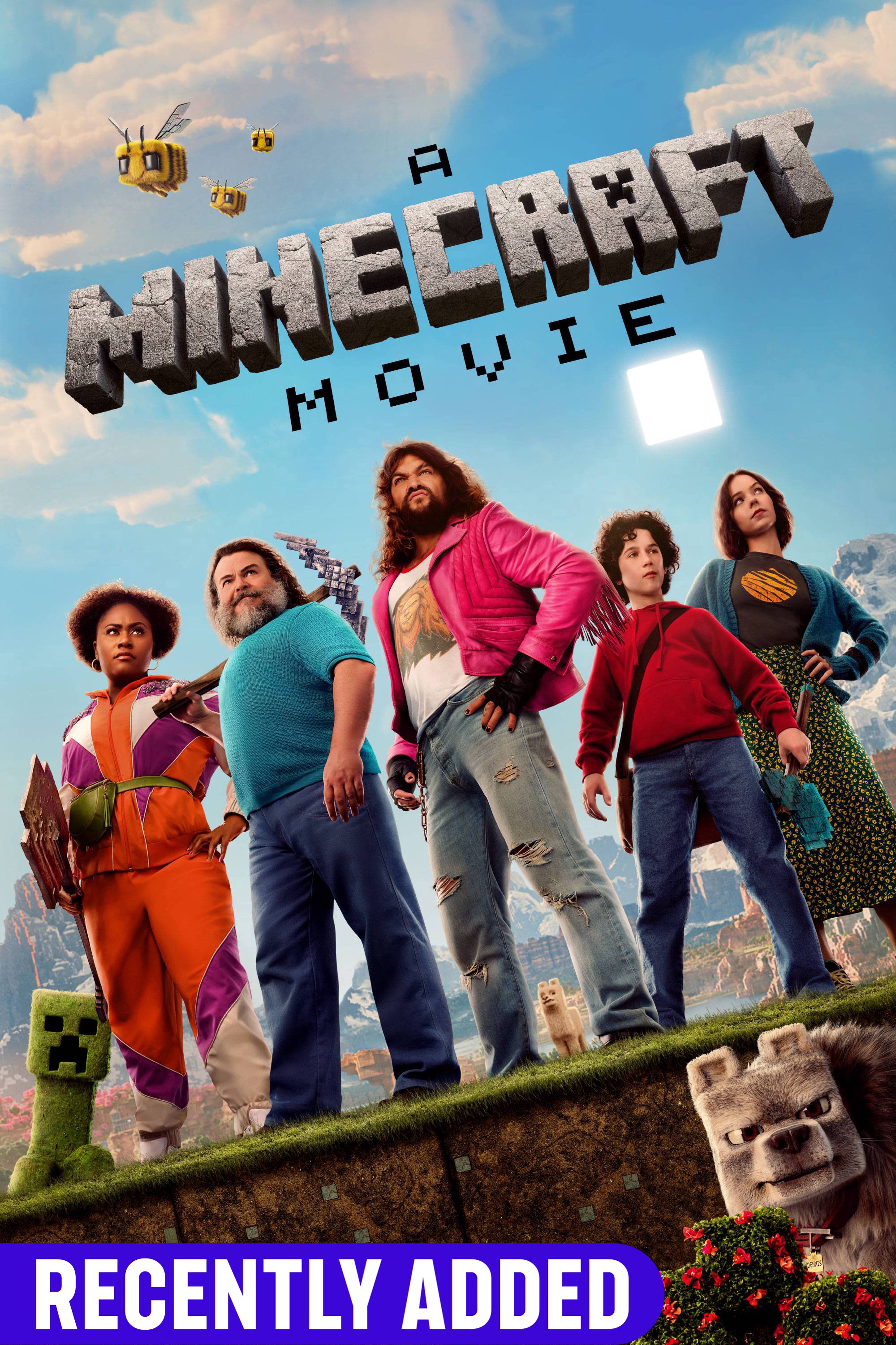 A Minecraft Movie