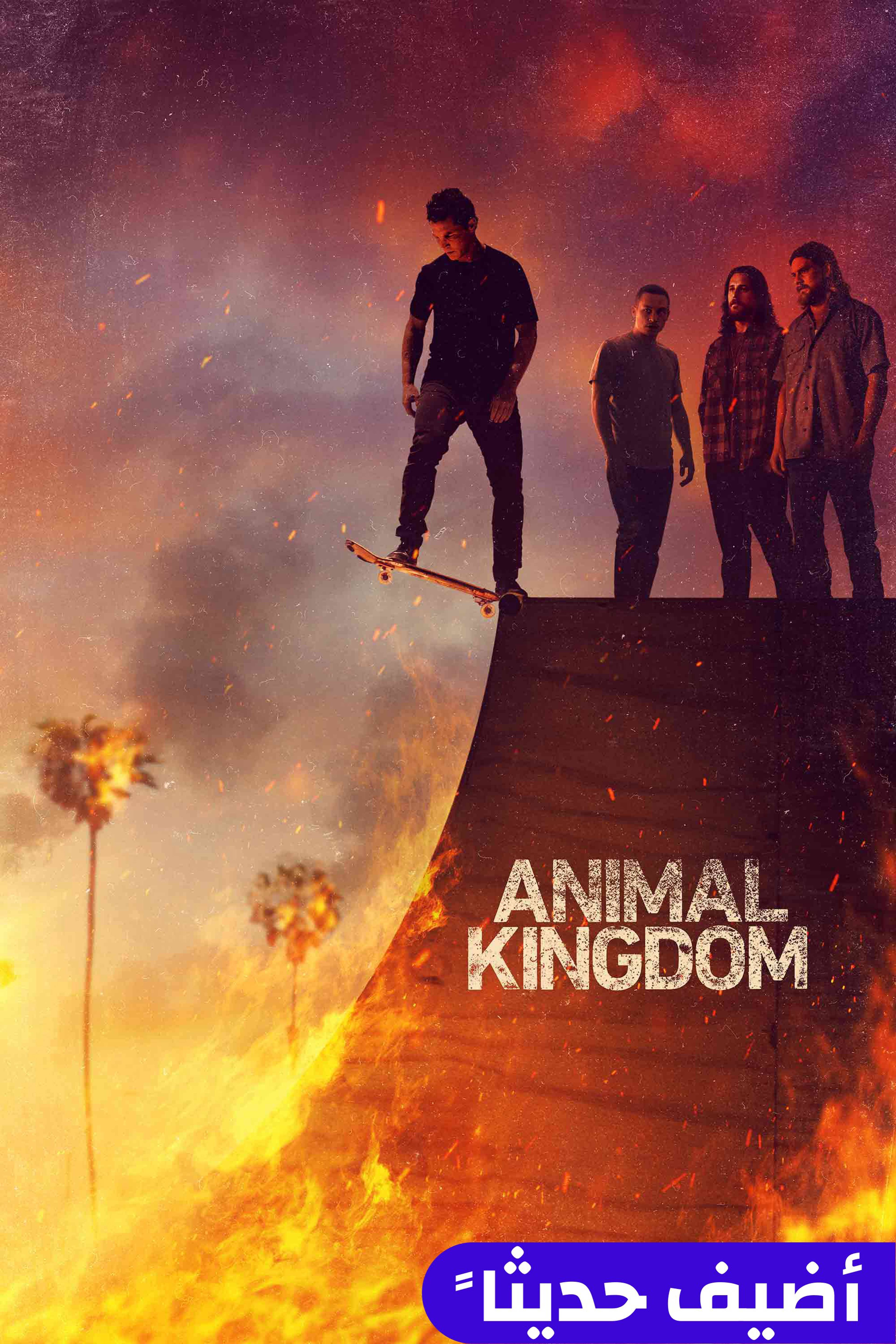 أنيمال كينغدوم