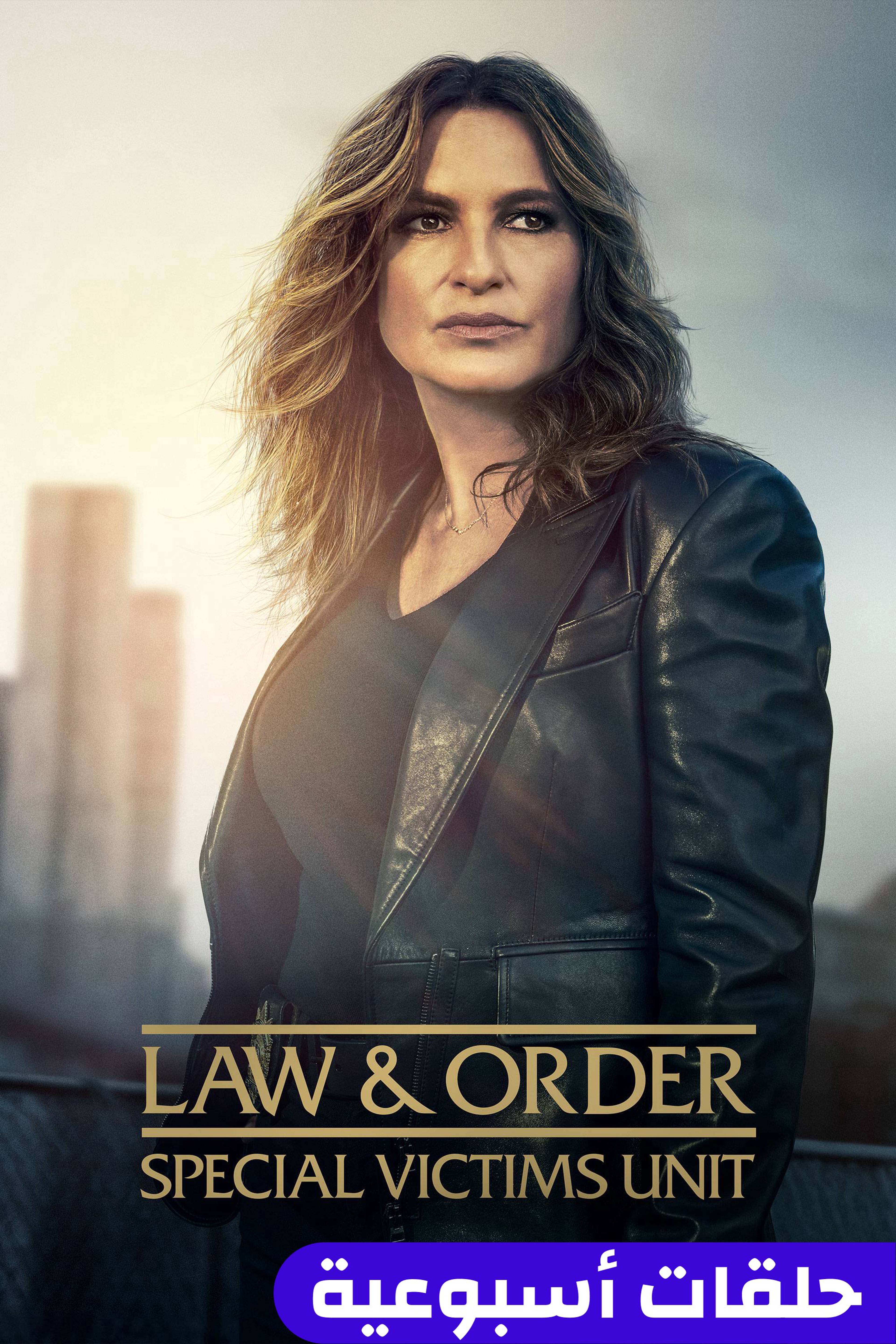 لوو أند أوردر: سبيشال فيكتمز يونيت