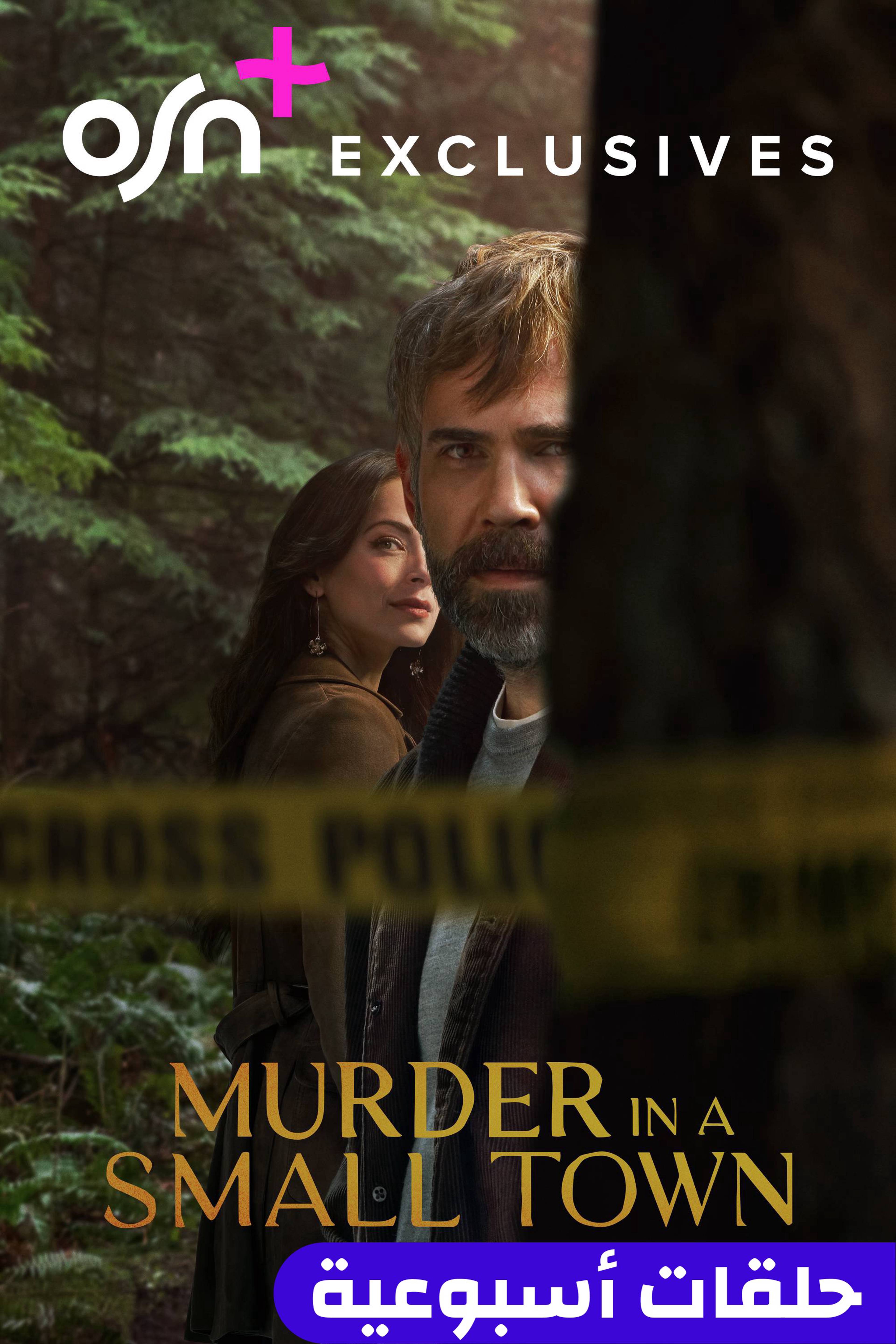 ميردر إن أيه سمول تاون