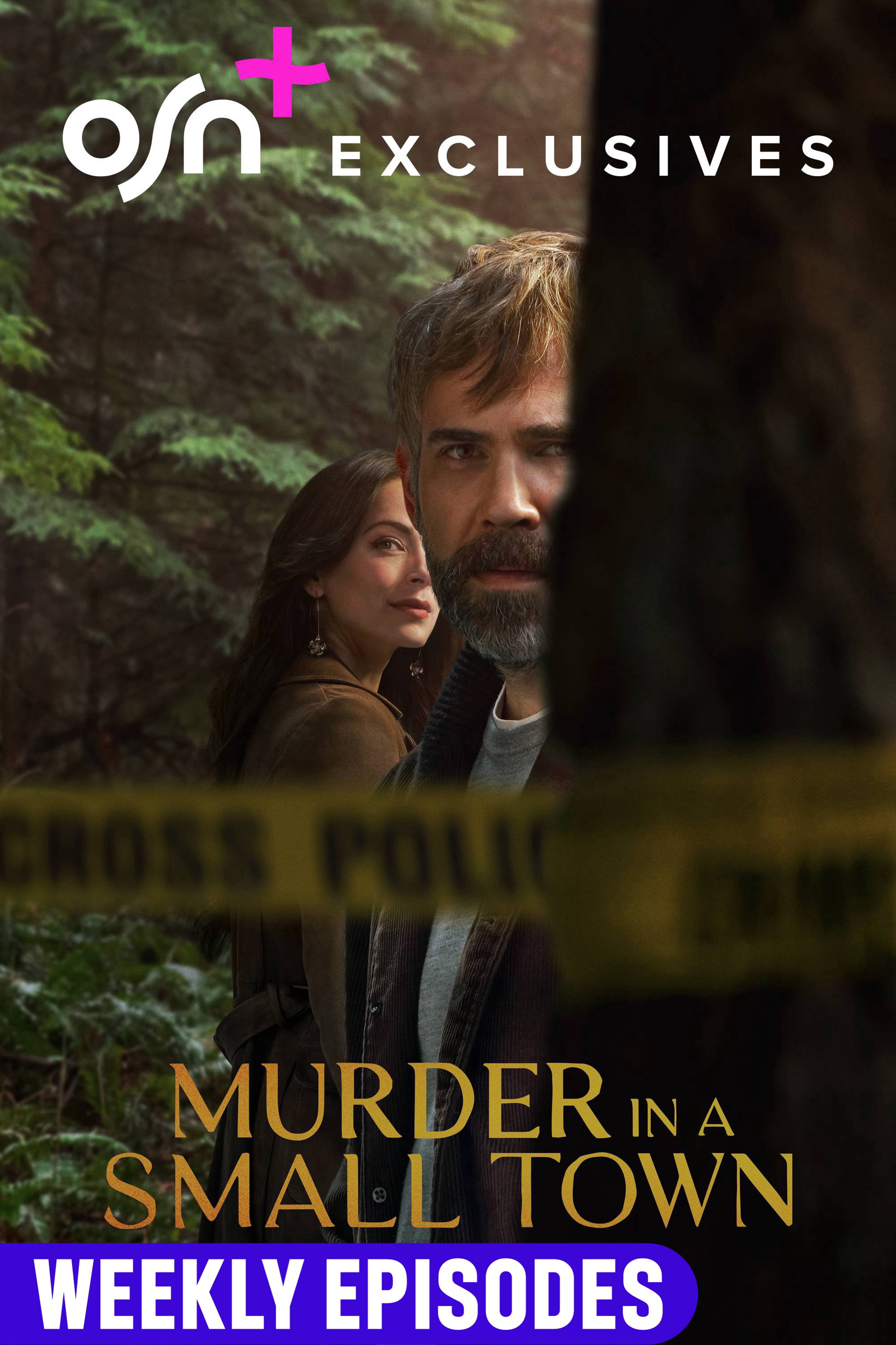 Murder In A Small Town