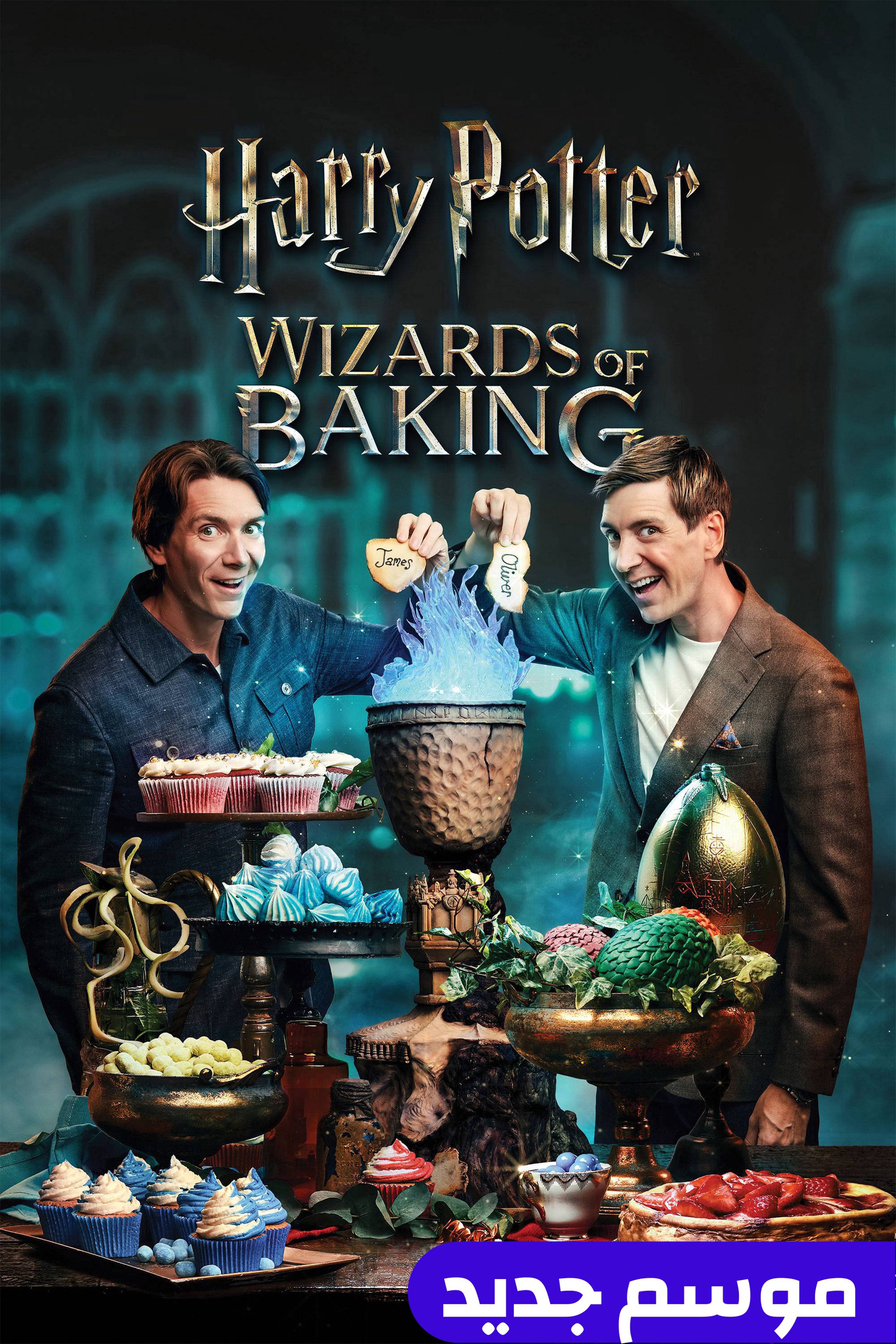 هاري بوتر: ويزردز أوف بيكينغ