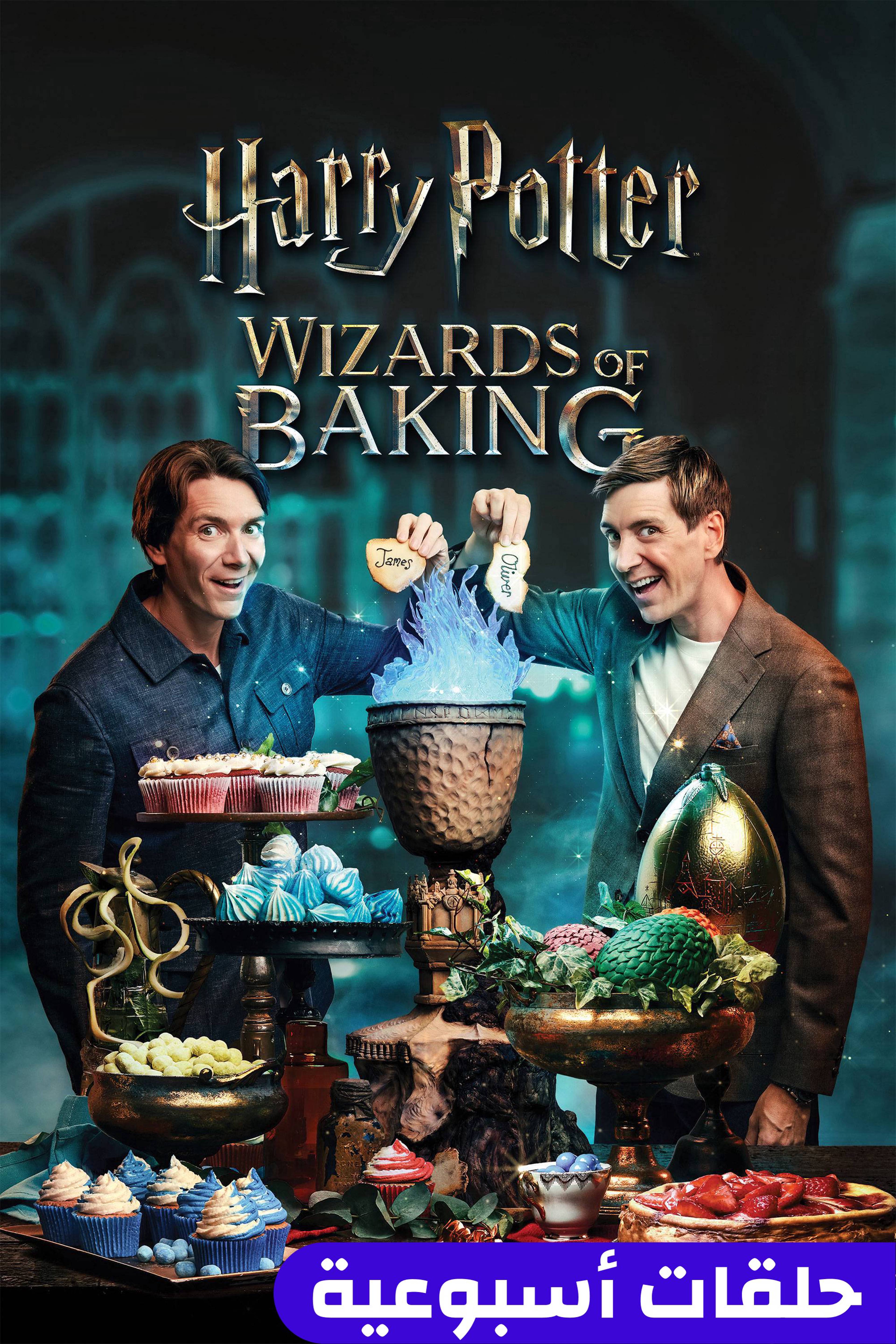 هاري بوتر: ويزردز أوف بيكينغ