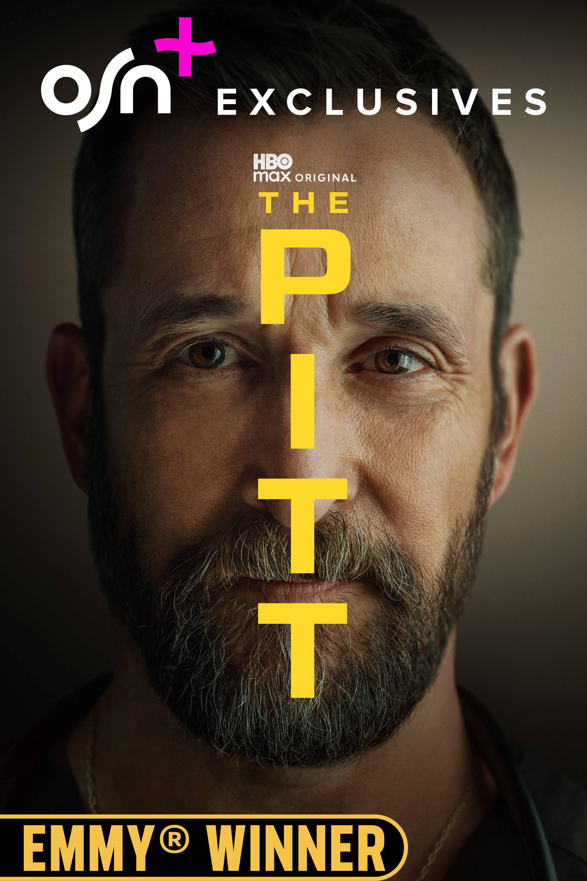 The Pitt