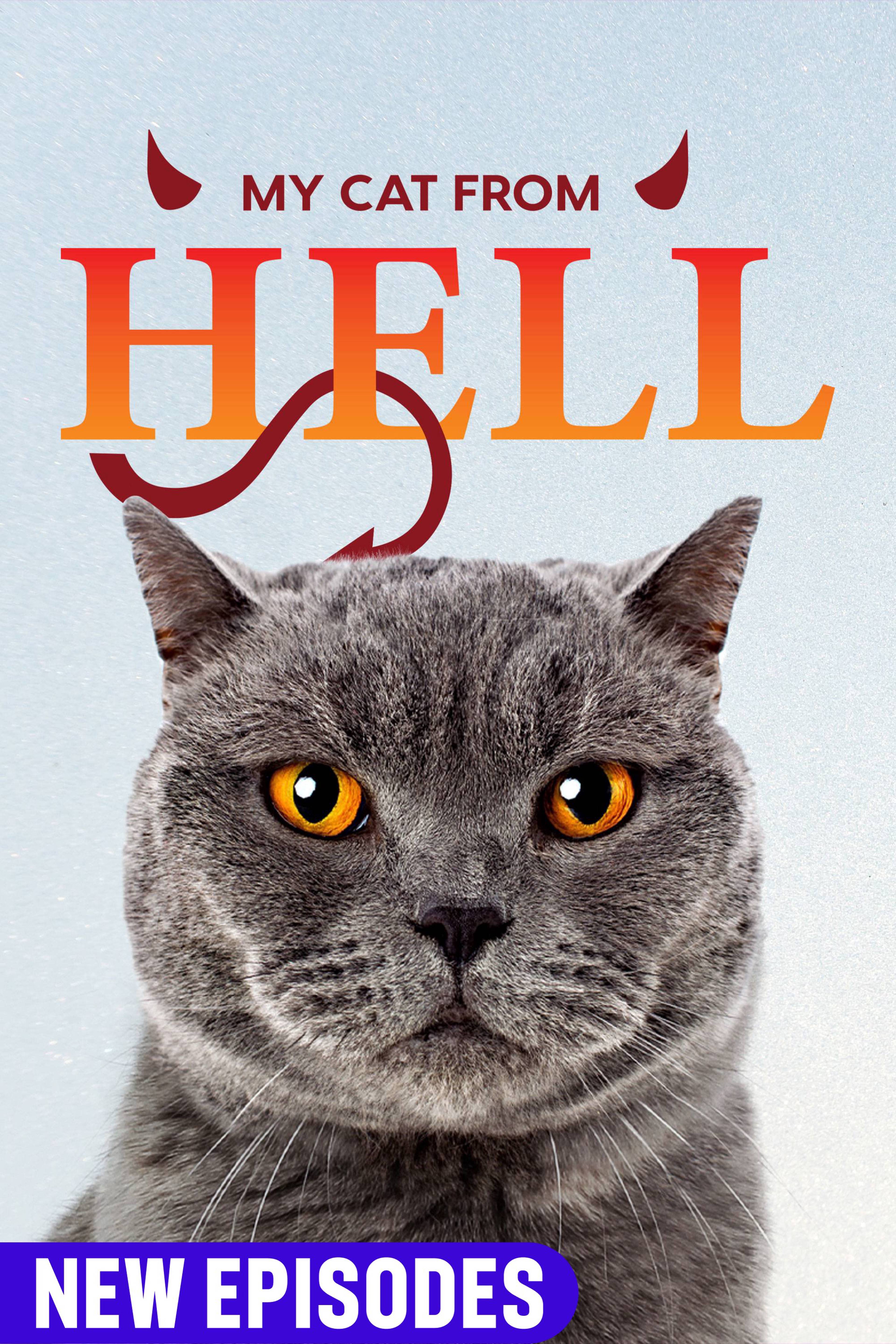 My Cat From Hell