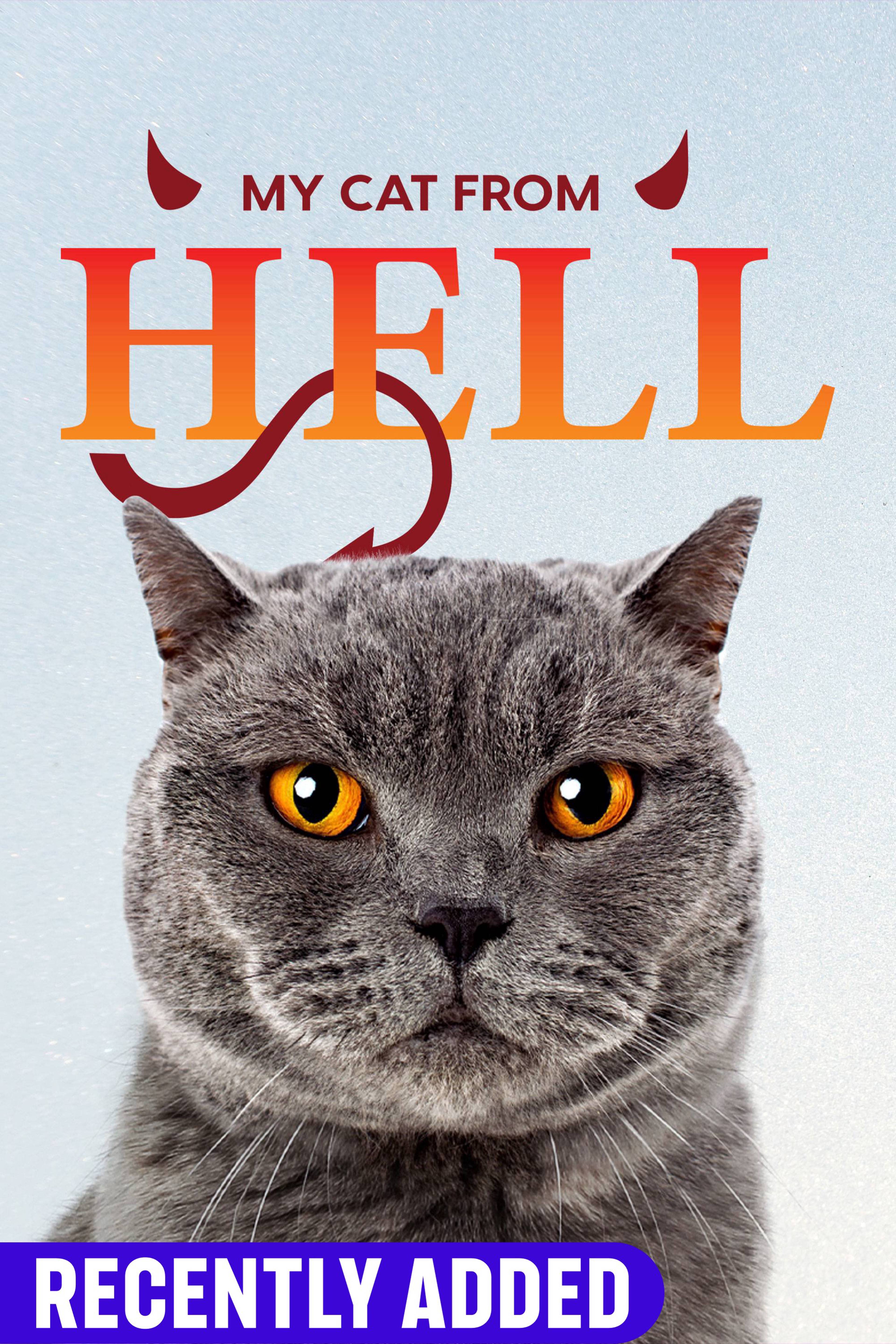 My Cat From Hell