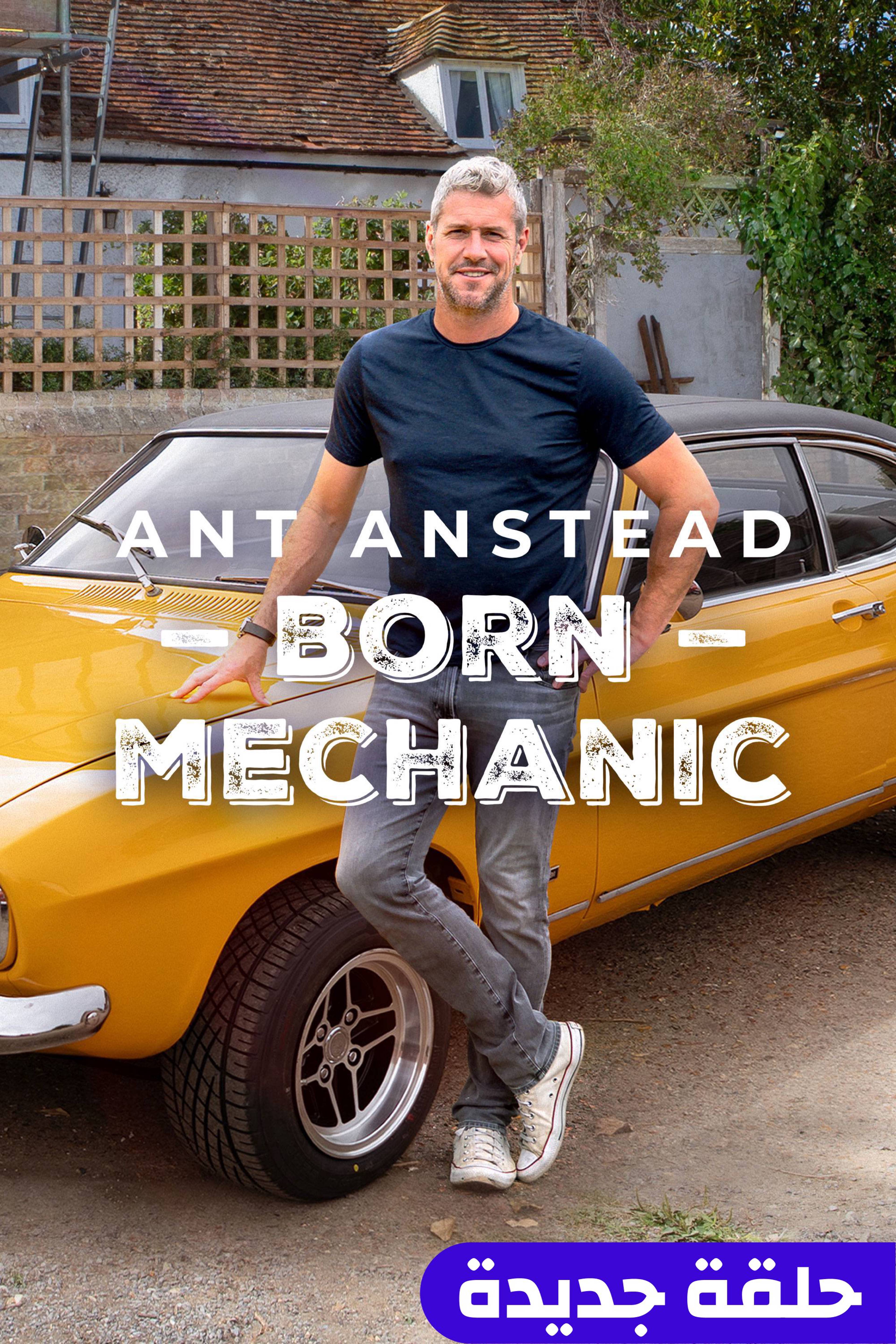 آنت أنستاد: بورن ميكانيك