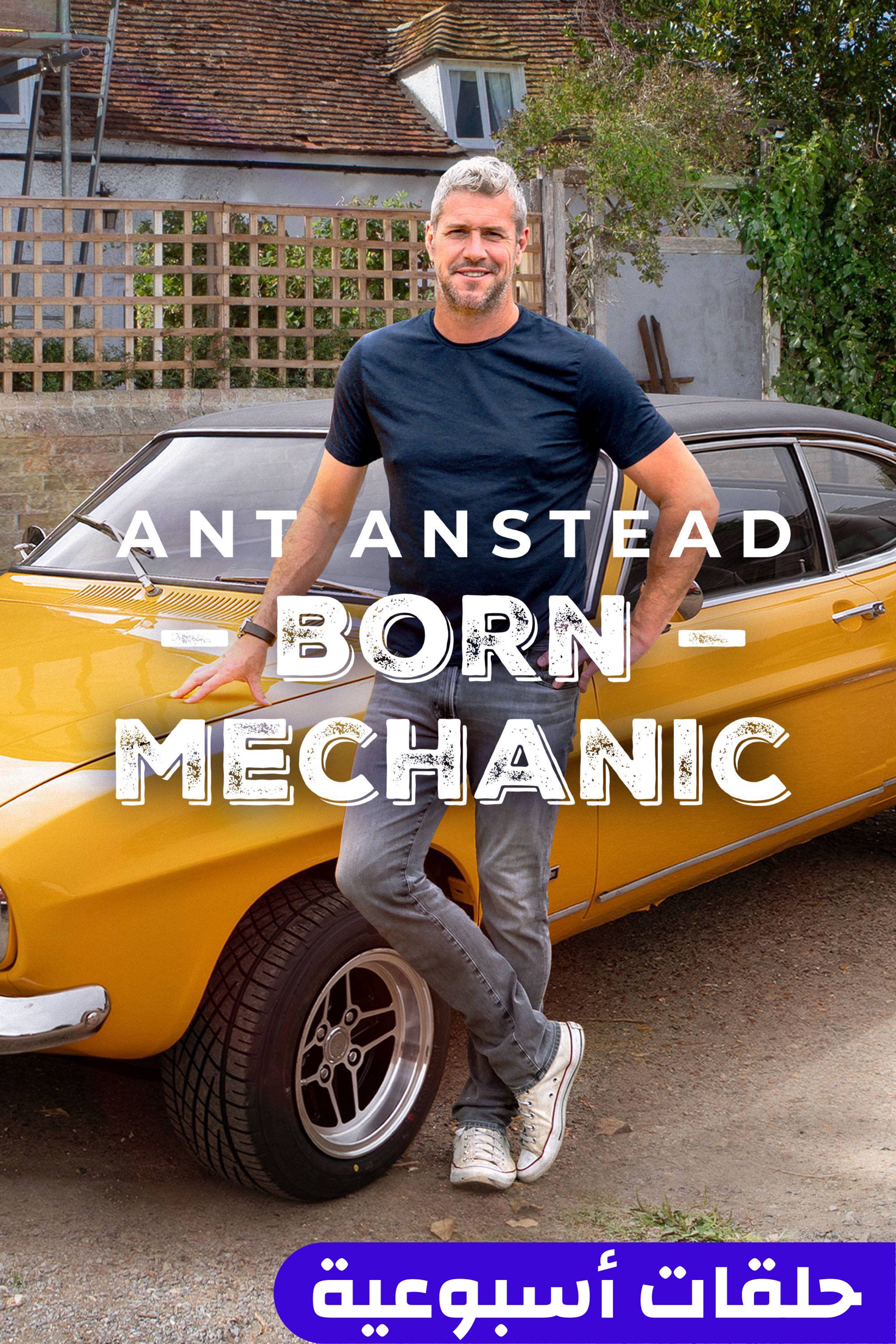 آنت أنستاد: بورن ميكانيك