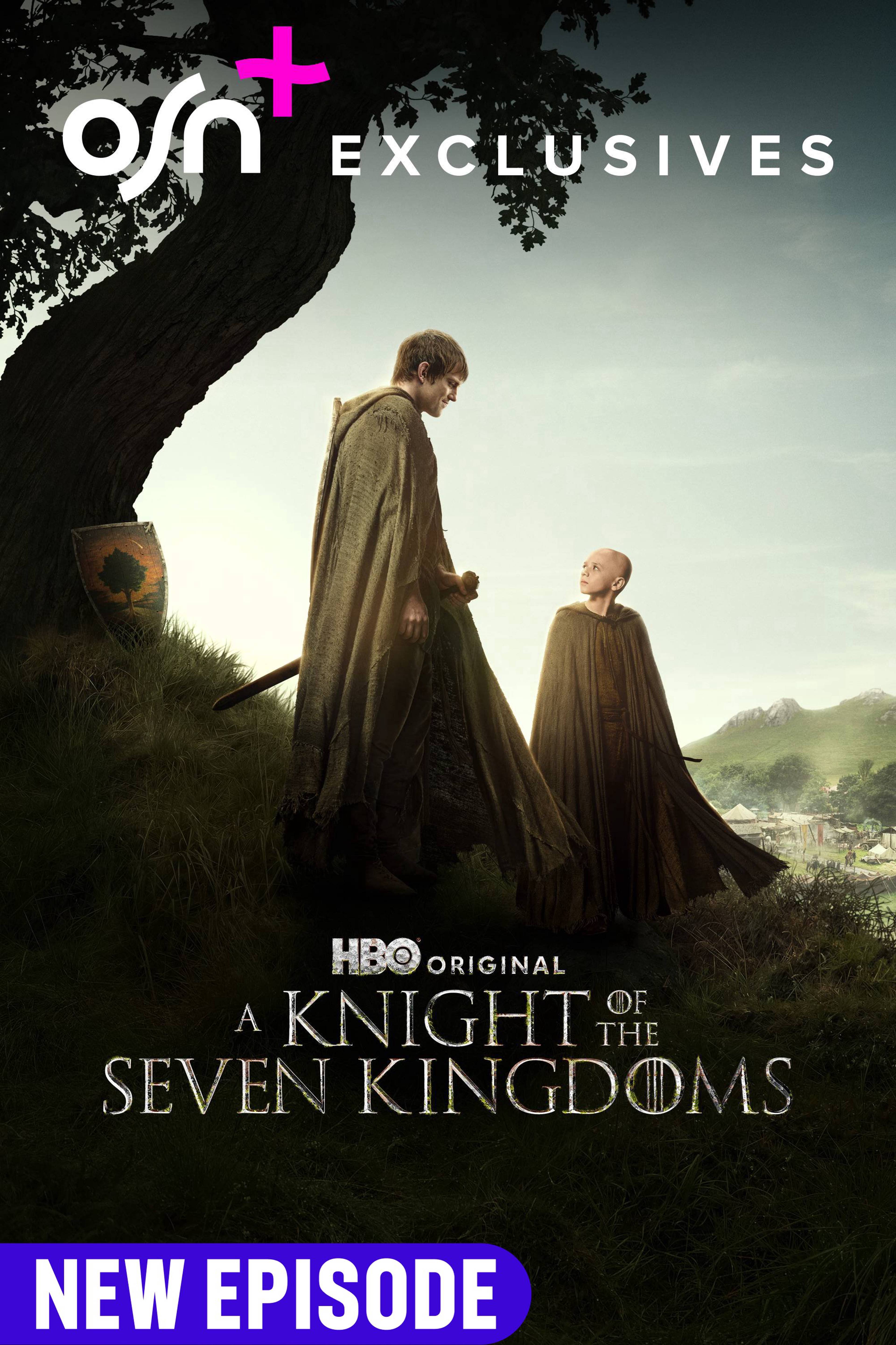 A Knight of the Seven Kingdoms