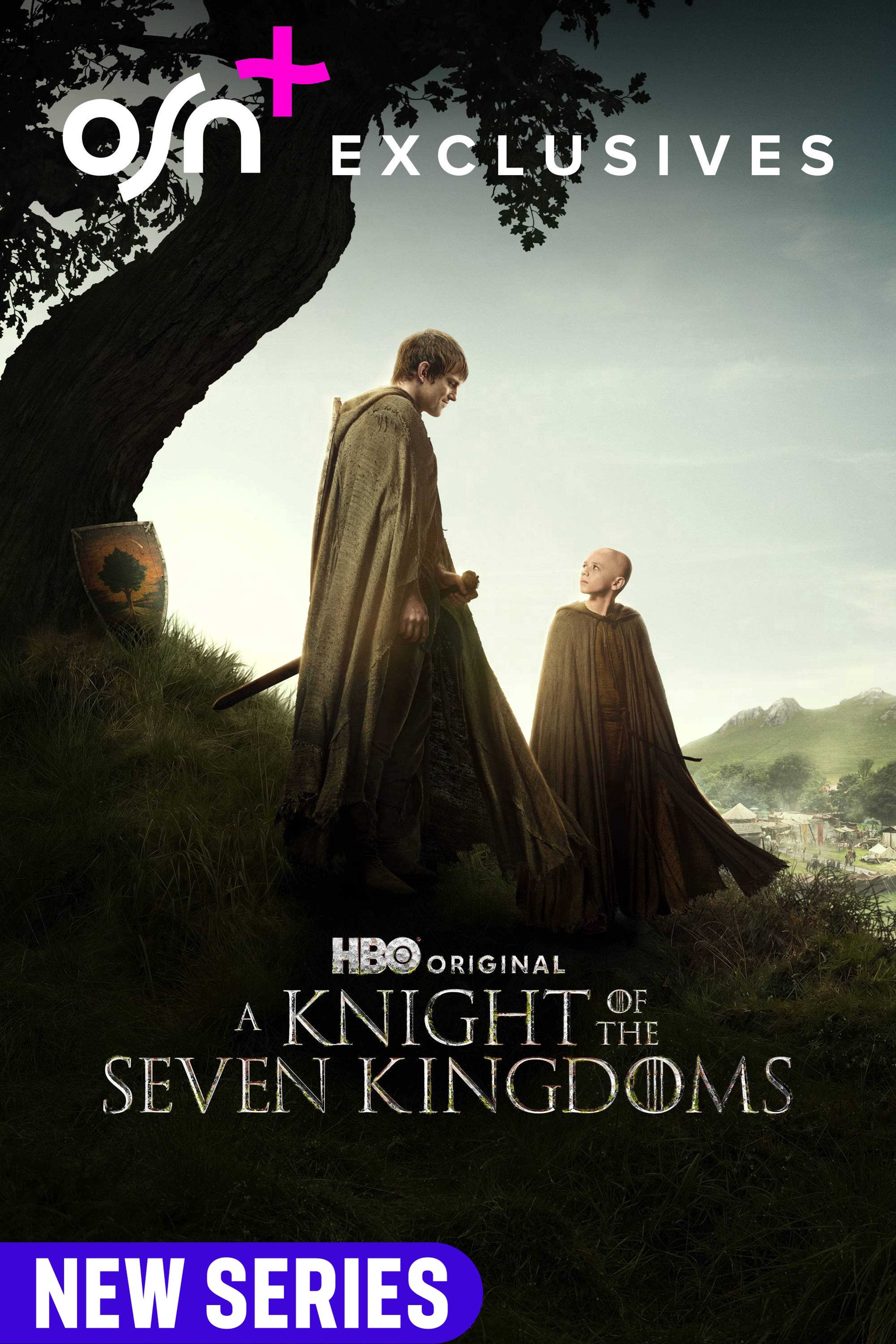 A Knight of the Seven Kingdoms