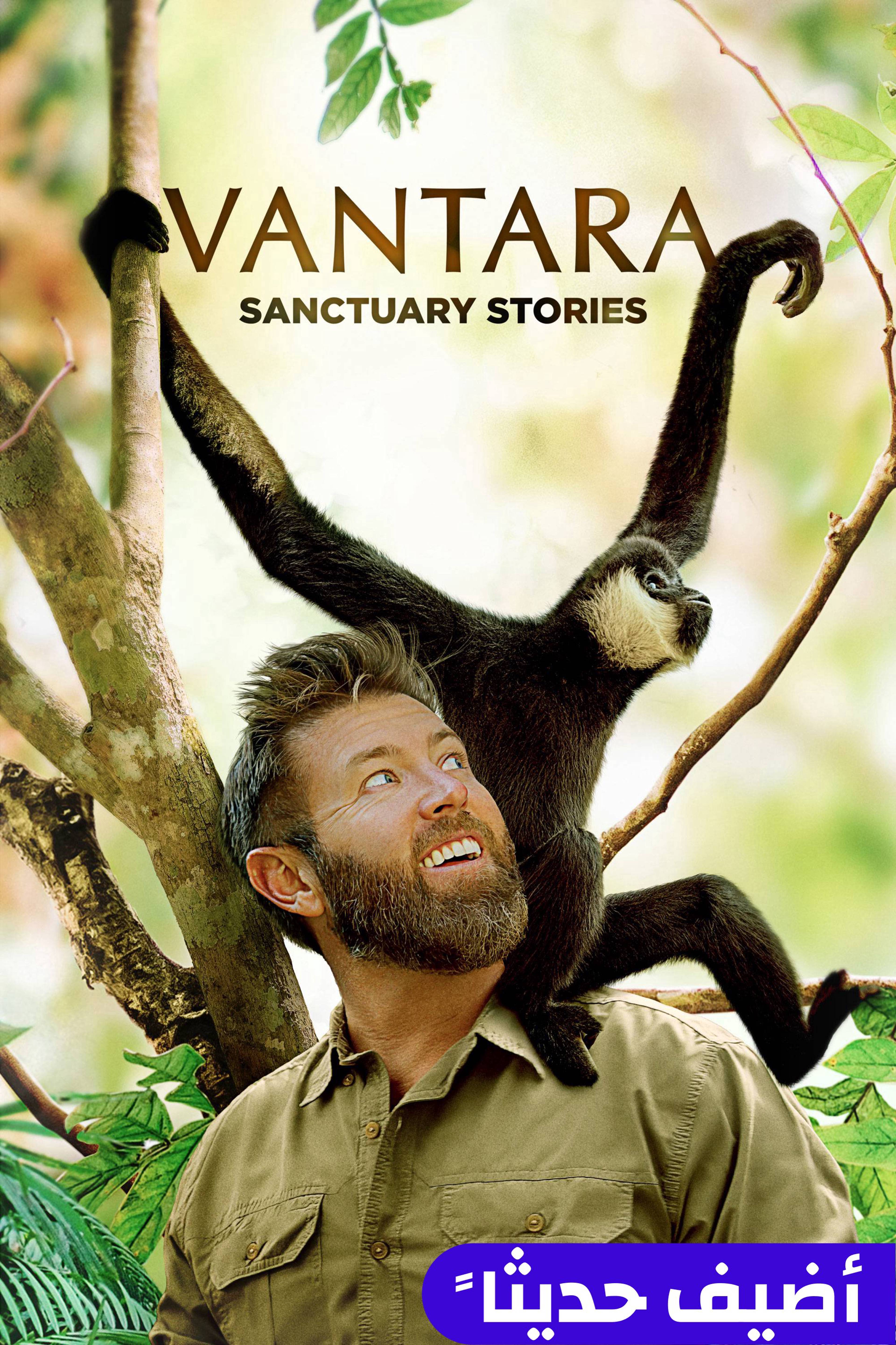 فانتارا: سانكتواري ستوريز