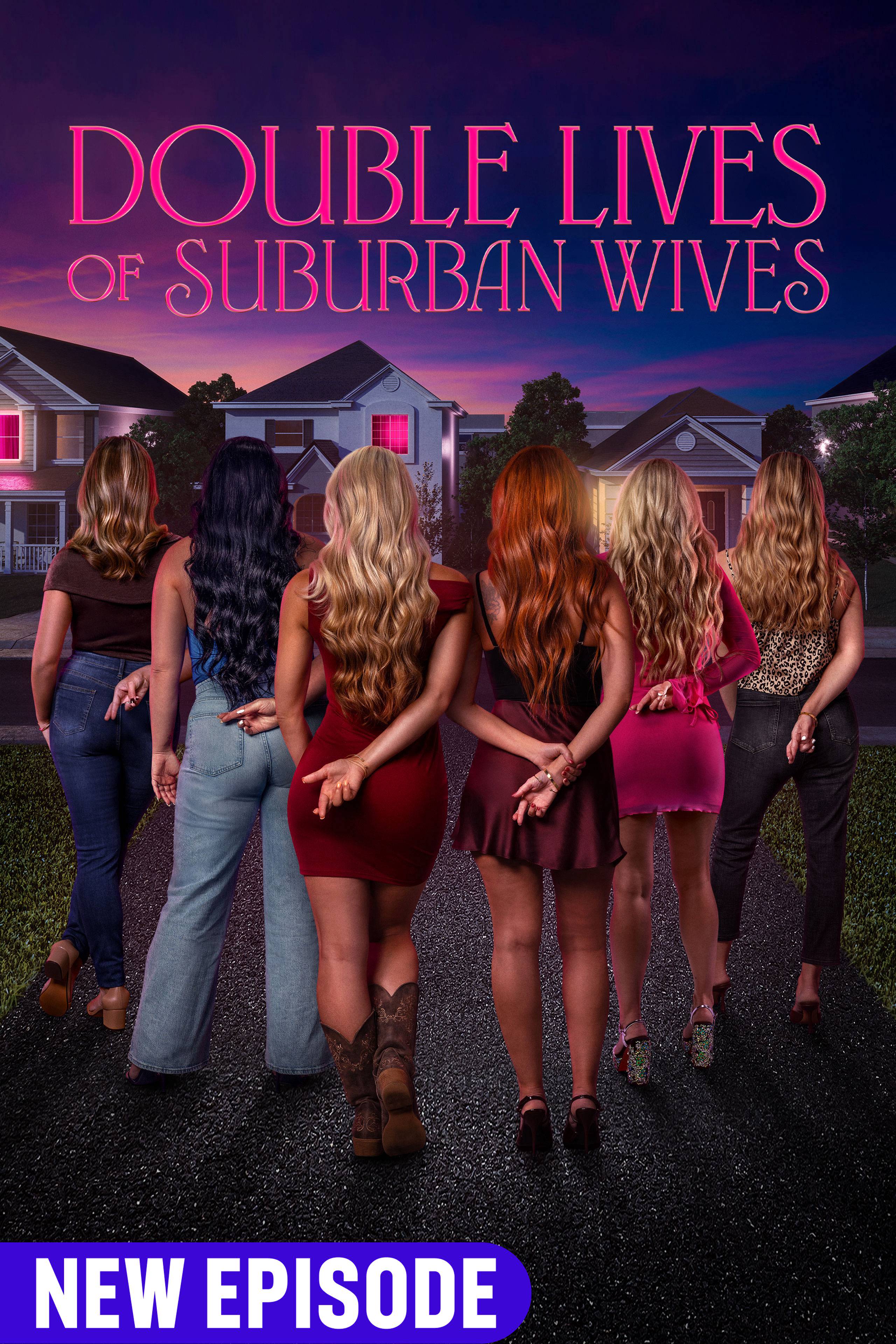 Double Lives Of Suburban Wives